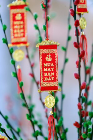 Chinese New Year tree. Red color is a symbol of good luck. That's fine. Vietnam.のeditorial素材