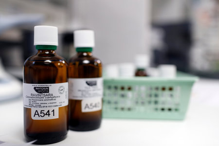 pharmacy. Essential oils in glass bottles. France.のeditorial素材