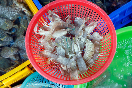 Fish market. Fresh prawns in red basket. Vung Tau. Vietnam.のeditorial素材