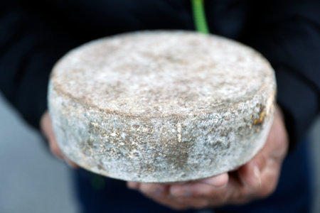 French cheese. Tomme de Savoie.のeditorial素材
