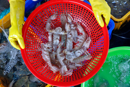 Fish market. Fresh prawns in red basket. Vung Tau. Vietnam.のeditorial素材