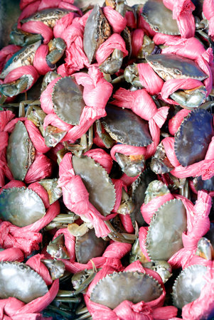 Fish market. Vung Tau. Vietnam.