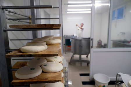 Traditional cheese factory. Reblochon, French Cheese from Savoie produced from Cow's Milk. Bogeve. France.のeditorial素材