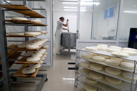 Traditional cheese factory. Reblochon, French Cheese from Savoie produced from Cow's Milk. Bogeve. France.のeditorial素材