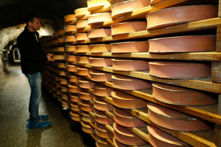 Artisanal Beaufort cheese in refining in a traditional cellar. Rognaix. France.のeditorial素材