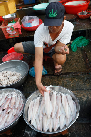 Man wearing a marijuana leaf hat cap selling fresh squids at market. Vung Tau. Vietnam.のeditorial素材