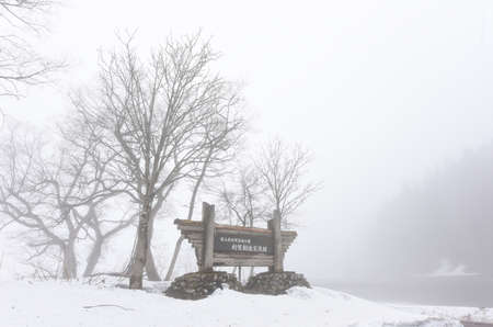 The snow in the winter of Japanのeditorial素材