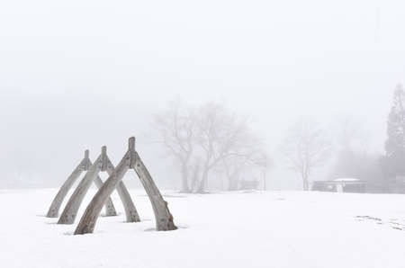 The snow in the winter of Japanの写真素材