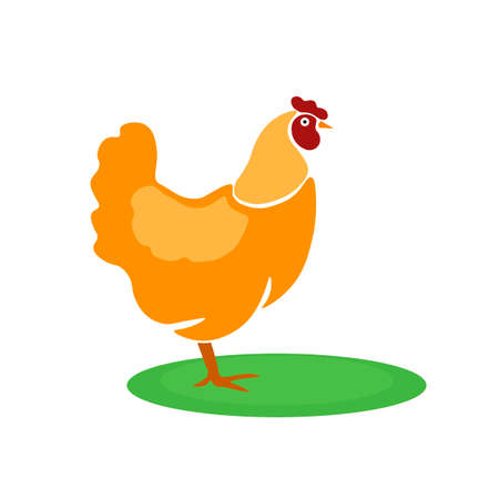 Chicken animal farm iconsのイラスト素材