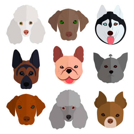 Set the dogs on a white background. Vector illustrationのイラスト素材
