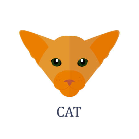 A Cat on a white background Vector illustrationのイラスト素材