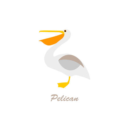 Pelican on a white background. vector illustrationのイラスト素材