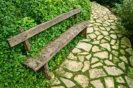 Overgrown weathered wooden bench at the side of a paved garden pathの写真素材