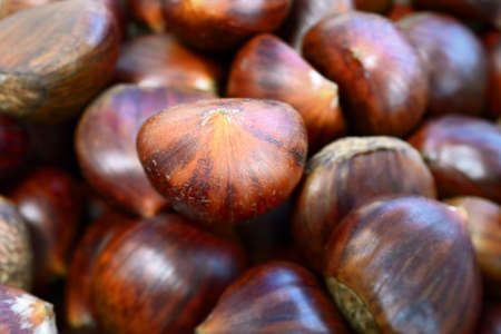 Heap of sweet chestnuts, with selective focus on central nutの写真素材