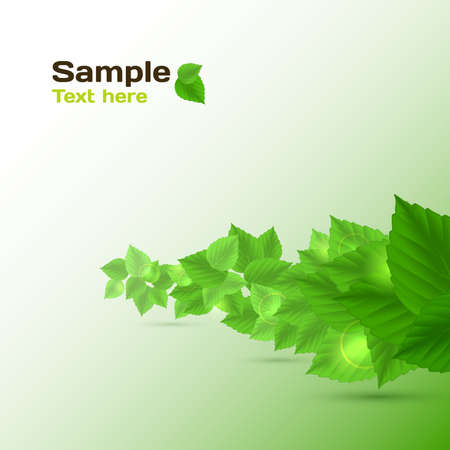 Abstract in green color Vector illustration for your designのイラスト素材