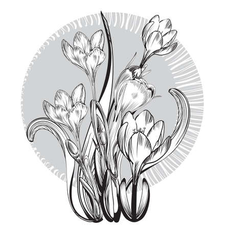 Vintage elegant flowers. Black and white vector illustration for your works. Botany.のイラスト素材