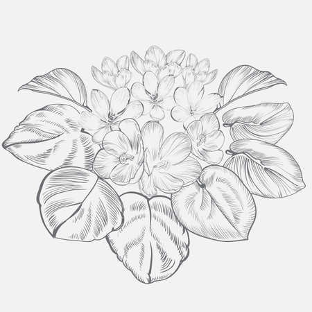 Vintage elegant flowers. Black and white vector illustration for your works. Botany.のイラスト素材