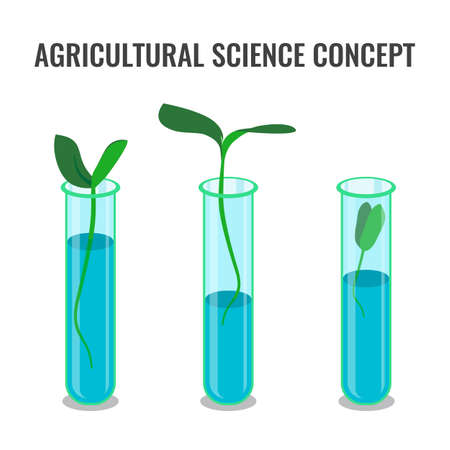 Agricultural science concept showing sprout in glass tube, colorful flat vector illustrationのイラスト素材