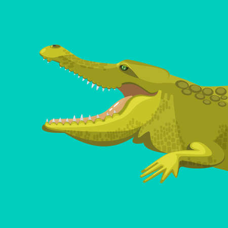 Dangerous green alligator is showing his teeth, colorful flat vector illustrationのイラスト素材