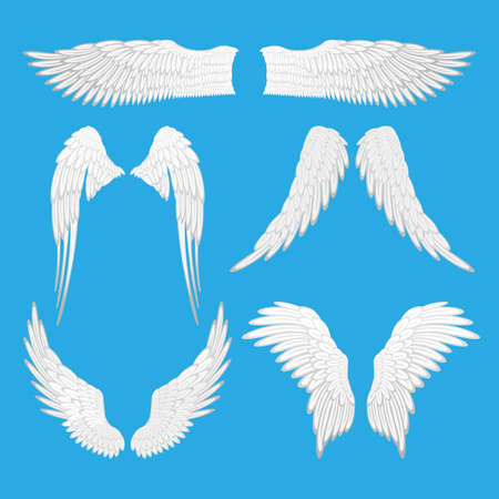 Angel wings vector illustration. Set of angel, eagle bird wings isolated editable elements. Graphic animal abstract wings of different shapes. Tattoo fantasy icons. Decoration for Valentines day.のイラスト素材
