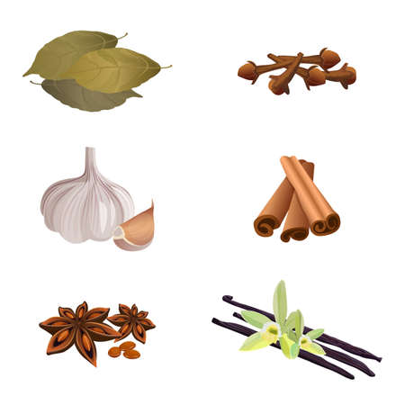 Garlic , cinnamon sticks, dried cloves, bay leaves, anise star, vanillaのイラスト素材