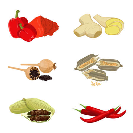 Red paprika, poppy seeds, piece of ginger, redchili, sesameのイラスト素材