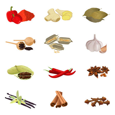 Paprika, ginger, bay, poppy, sesame, garlic, pepper, anise star, vanillaのイラスト素材
