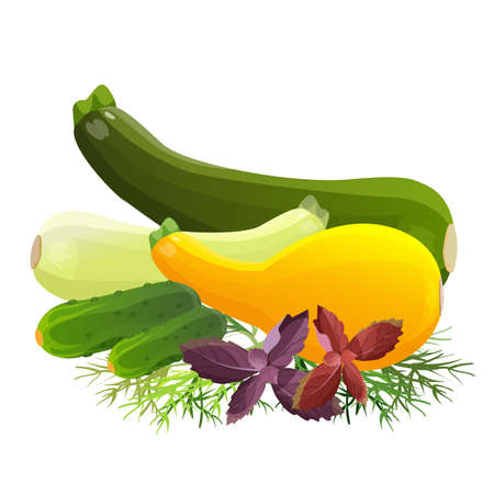 Fresh vegetable organic food set isolated on white background vector illustration. Purple basil leaves, tasty cucumbers, different kinds of zucchini on dill branches. Healthy eating conceptの写真素材