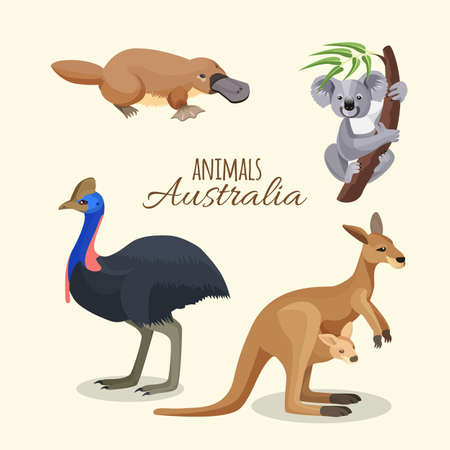 Australia animals collection of brown kangaroo, grey koala and duckbilledのイラスト素材