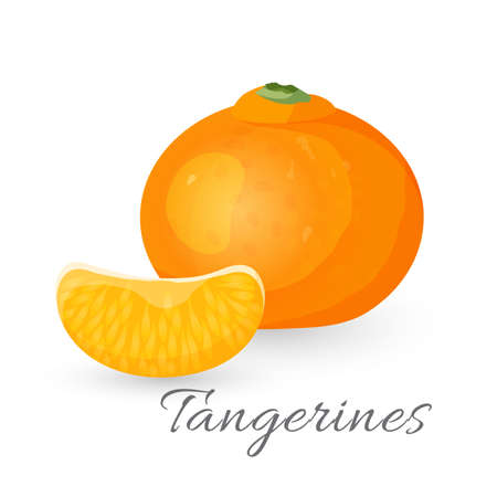 Tangerine tropical fruit isolated on white. Mandarin orange realistic vectorの写真素材