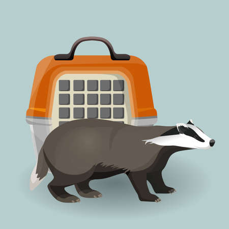 Badger carry cage and animal isolated on grey backgroundのイラスト素材