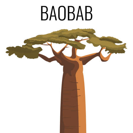 African baobab tree icon emblem with text isolated on whiteのイラスト素材