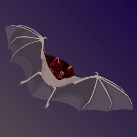 Brown flittermouse with opened wings flat design isolatedのイラスト素材