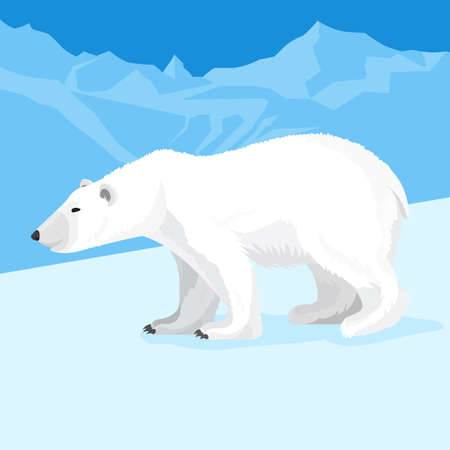 Big polar bear at north pole cartoon style. Vector illustrationのイラスト素材