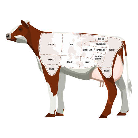 Caw steak parts, beef cattle parted into departments icon isolatedのイラスト素材