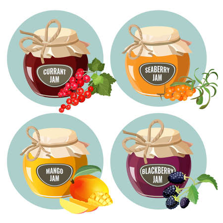 Jars with red strawberry, healthy pineapple, apple and blueberry jam.のイラスト素材