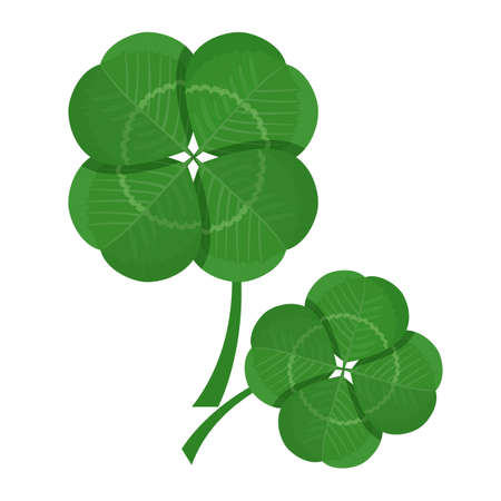 Clover green leaves isolated on white background.のイラスト素材
