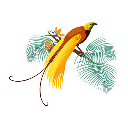 Greater bird-of-paradise with yellow tail sitting on branchのイラスト素材