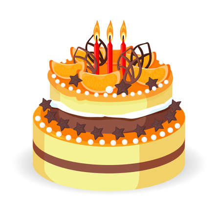 Birthday cake with fresh red berries, strawberries and carambola vectorのイラスト素材