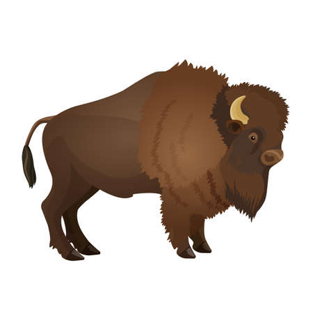Bison large even-toed ungulate realistic vector illustration iのイラスト素材