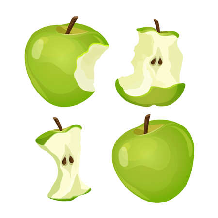 Stages of whole and bitten apple isolated on white backgroundのイラスト素材