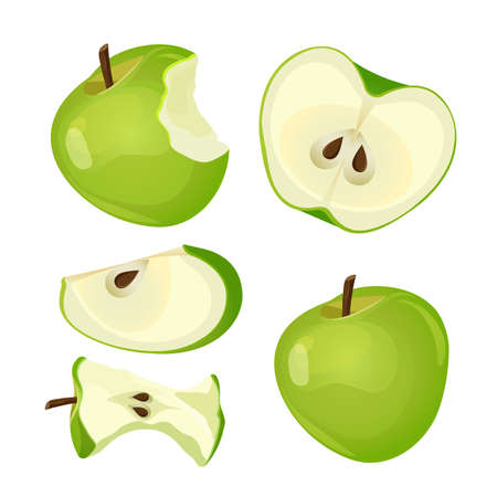 Bitten apple, whole, half and slice isolated on white backgroundのイラスト素材