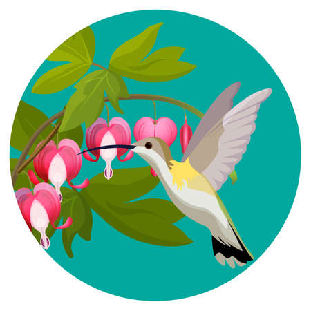 Bleeding heart flowers and hummingbird isolated realistic vector illustrationのイラスト素材