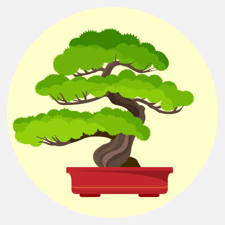 Bonsai pine decorative small tree growing in container vector illustrationのイラスト素材