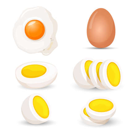 Boiled eggs whole and half, fresh and fried realistic vectorのイラスト素材