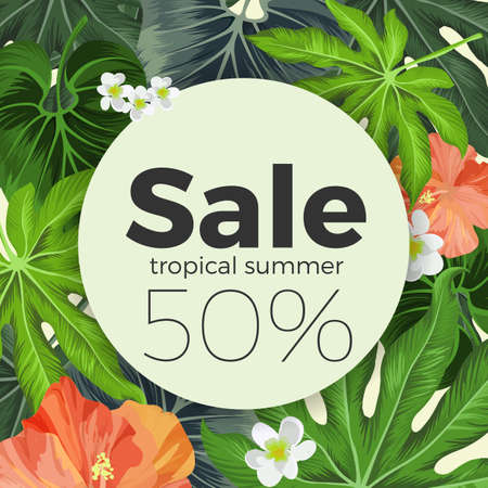 Summer sale on circle, background with tropical plantsのイラスト素材