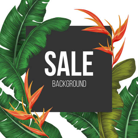 Sale background vector illustration with tropical plantsのイラスト素材