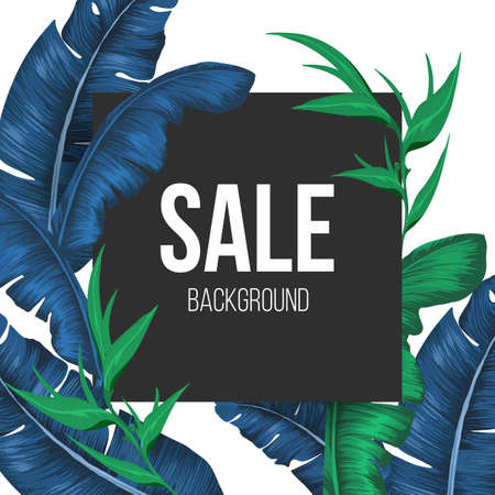 Sale promo banner background with exotic plants leavesのイラスト素材