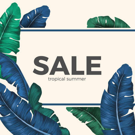 Sale inscription hidden in palm tree leaves seasonal promotionのイラスト素材