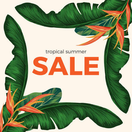 Tropical summer sale promo poster with rainforest plantsのイラスト素材